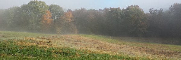 HazeltonJeanine Profile Banner