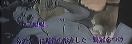 princesa ana cassia banner