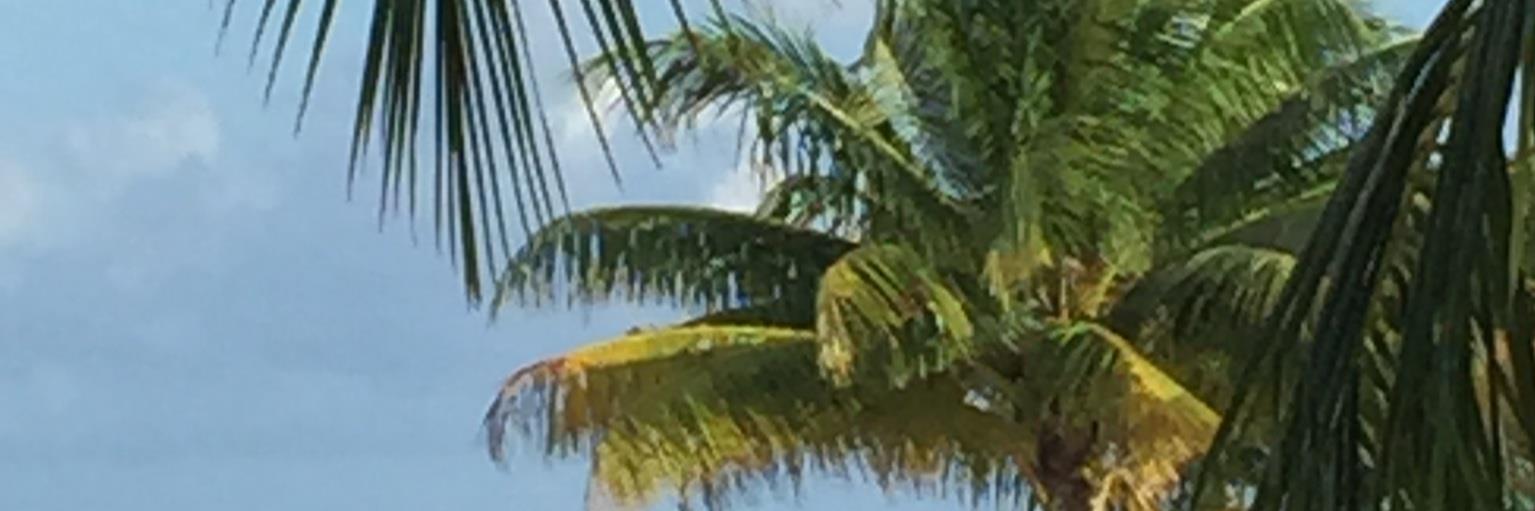 Ha_Ka's profile banner image