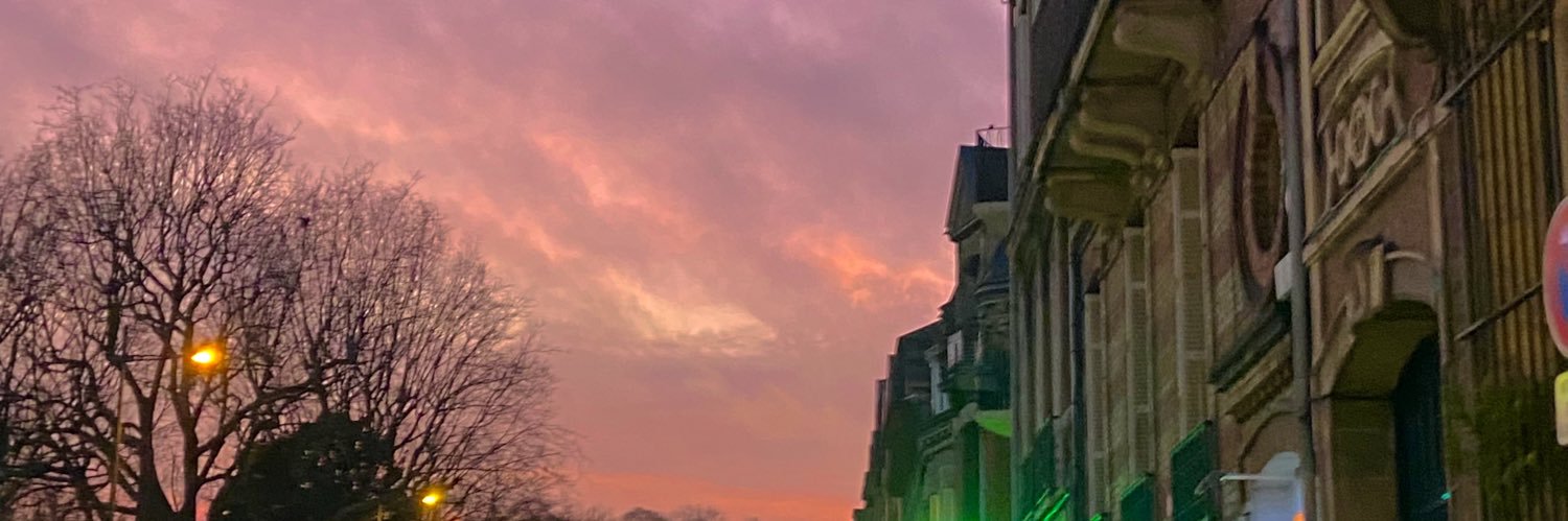 Celia Kenouze banner