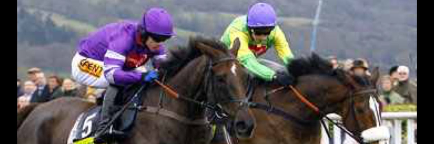 RacingTips_UK's profile banner image
