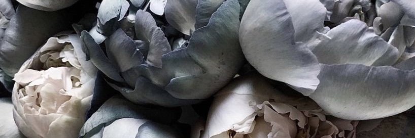 edcissce's profile banner image