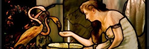 Donate blankets/towels to🐾humane society, please. banner