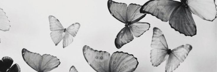 Kacheecha's profile banner image
