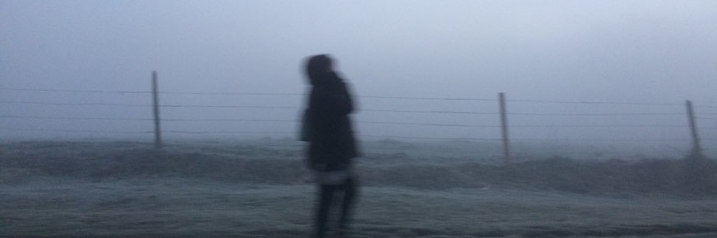 danielignaciov's profile banner image
