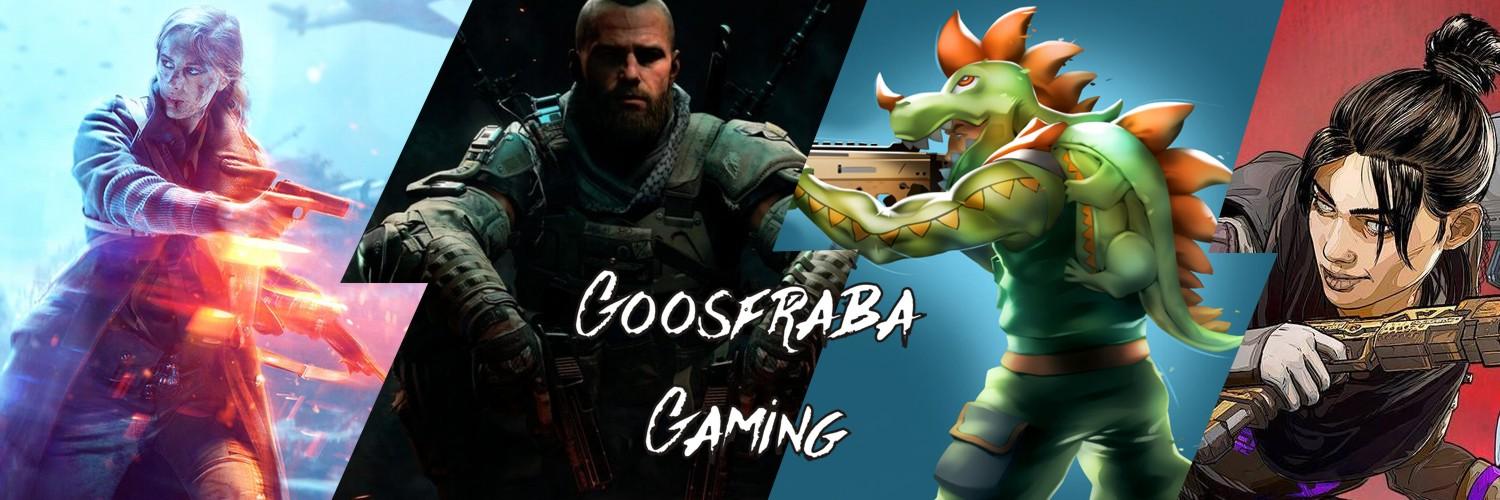 GamingGoosfraba's profile banner image