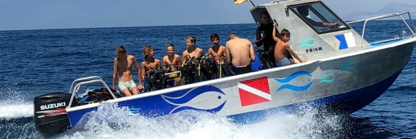 Blue_Adventure's profile banner image