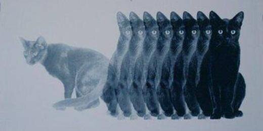 OriCjs1's profile banner image