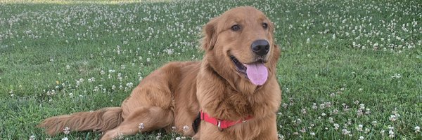 varshavakkala Profile Banner