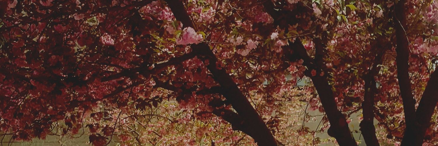 therajinator's profile banner image