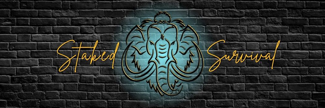 OCTOPI 🇺🇸 banner