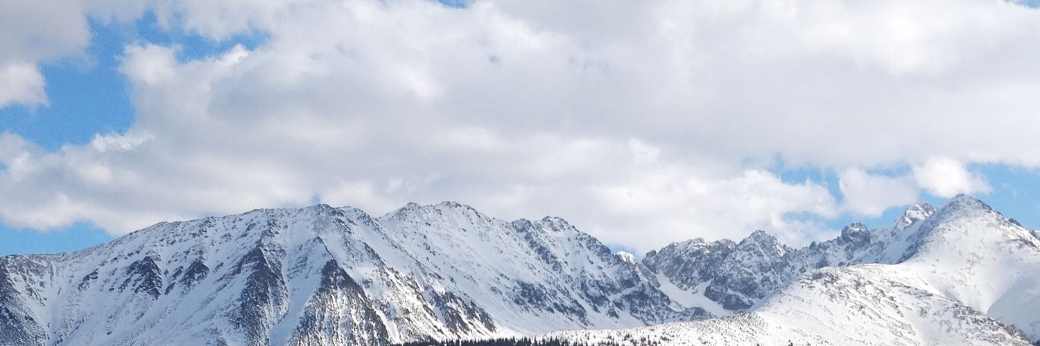 niisobolo's profile banner image