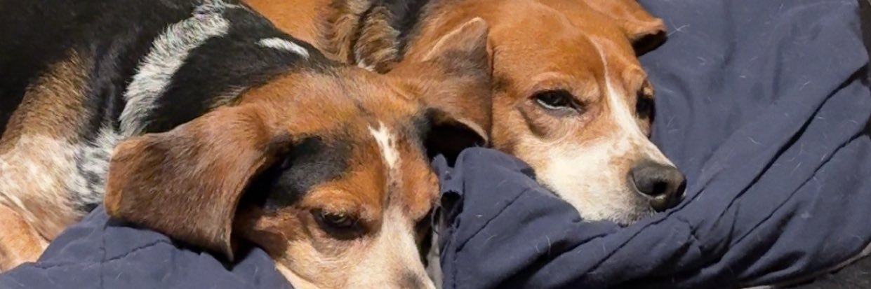 Cooper_Island's profile banner image