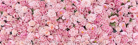 Sweet & Dandy banner