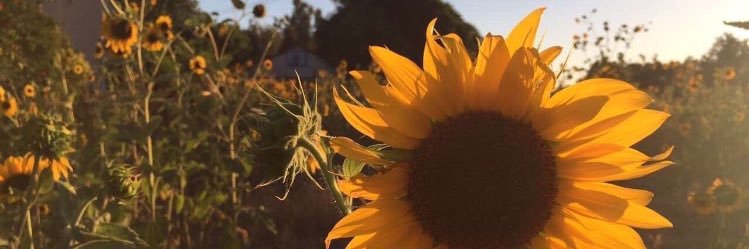 Amber_Coombs_'s profile banner image