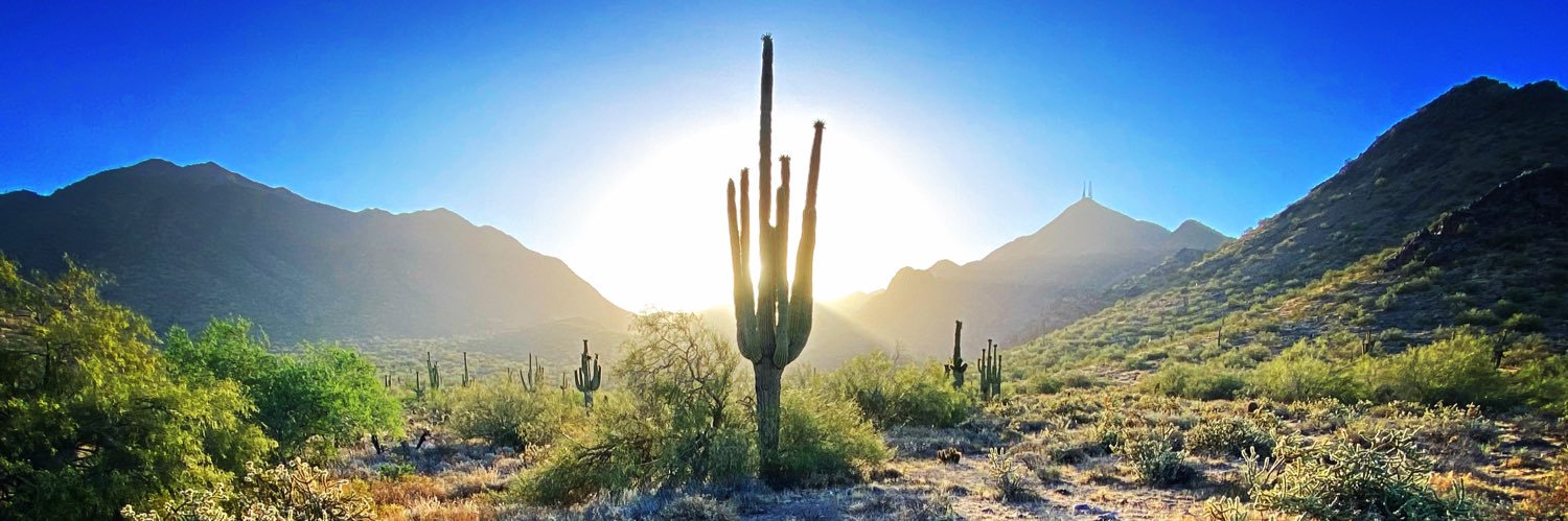 Arizona Antifa banner