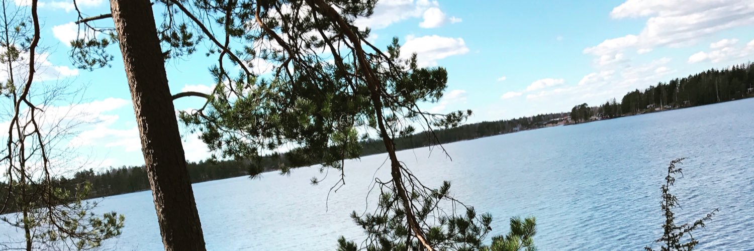 HampusEngstrm's profile banner image