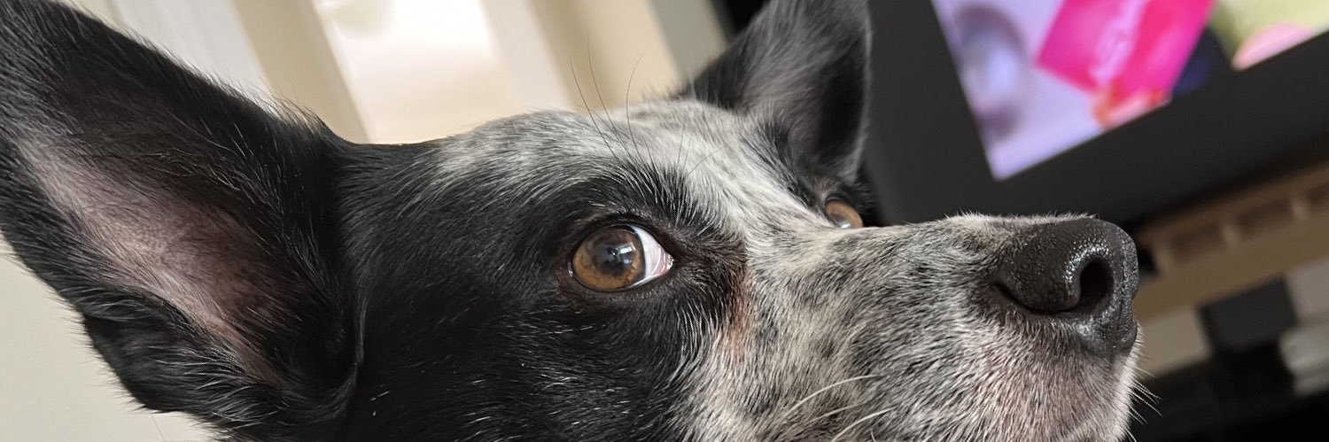 schn3ider's profile banner image