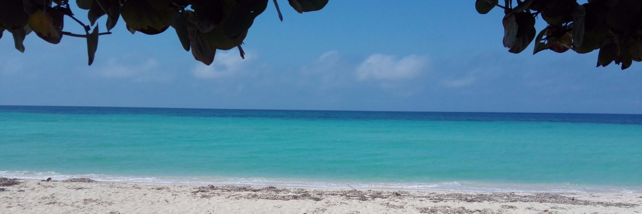 malaura_ce's profile banner image