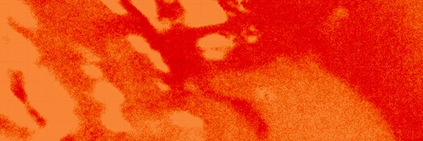 gtqlizer Profile Banner