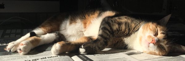 JSwanEsquire Profile Banner
