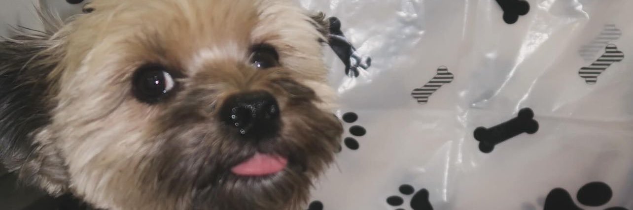 Nicktrills's banner