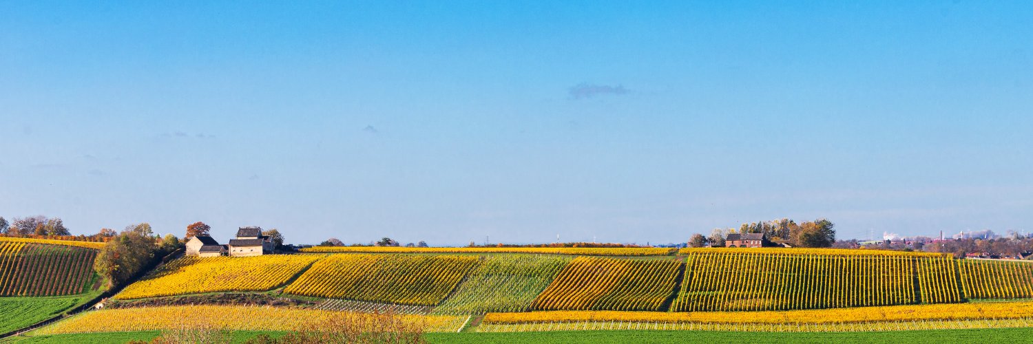 nederlandsewijngids.nl banner