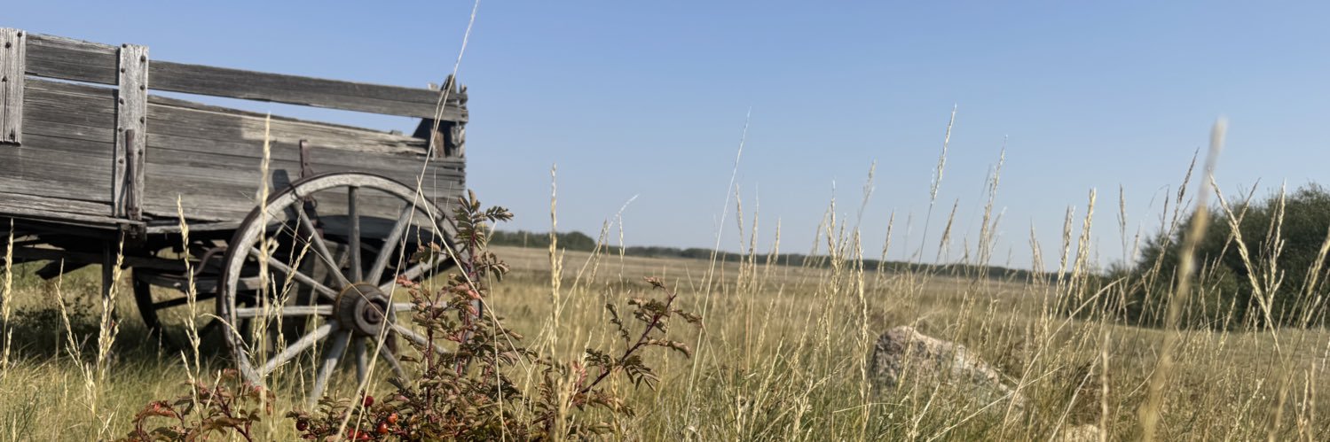Sandy Russell 🇨🇦 banner