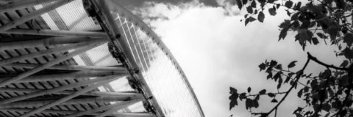 Patricianbfm's profile banner image