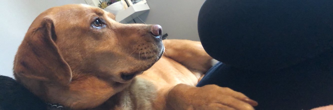 Beccaaaahealey's profile banner image