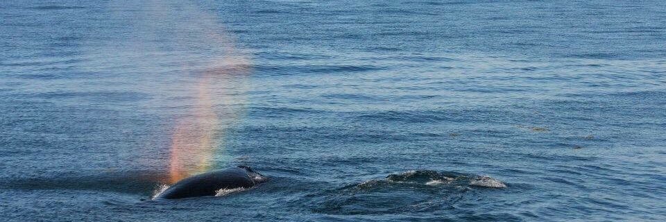 KHiggs23's profile banner image