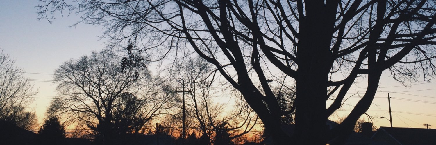 laurcostantini's profile banner image