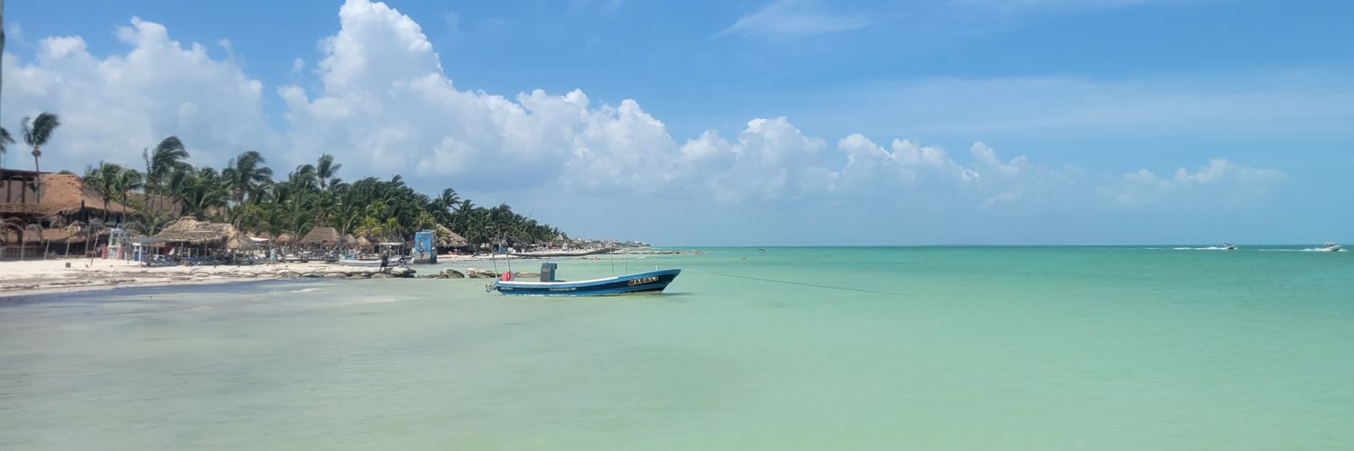 gabushkena's profile banner image