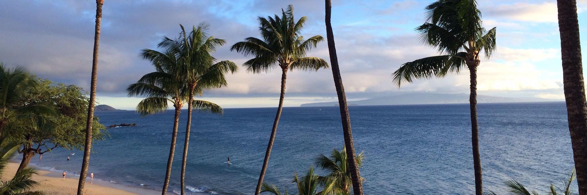 Glenn Leibowitz banner