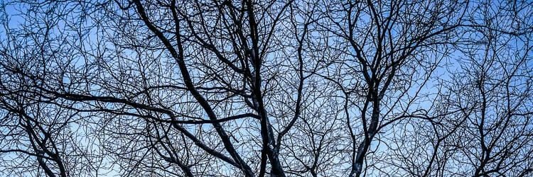 ☽̶☾ Atin🦉 ☽̶☾ banner