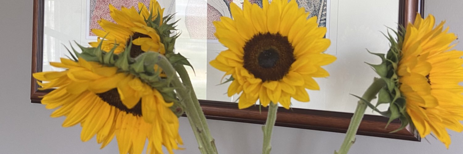 lisalmacdonald's profile banner image