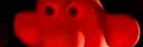 selnoire2's profile banner image