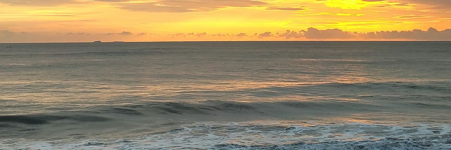 SaniaRoyale's profile banner image