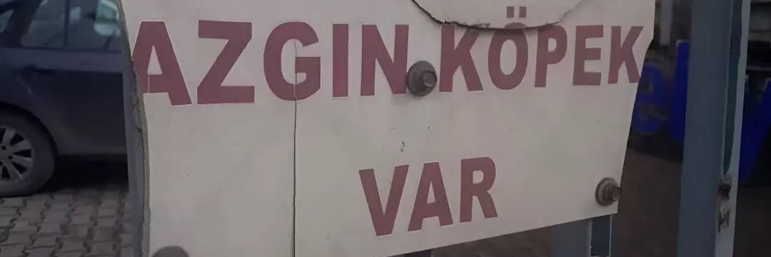 sunnetannesi's profile banner image