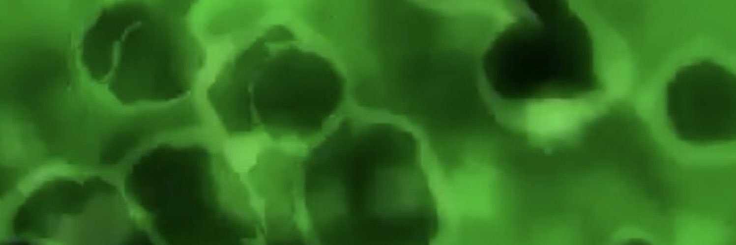 AlienSteel230 banner