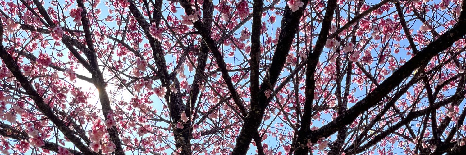 carolesss__'s profile banner image