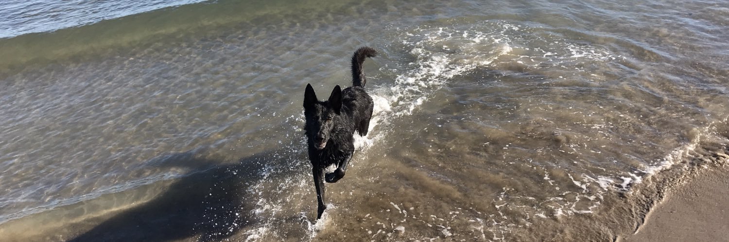 Tamara Abalde banner