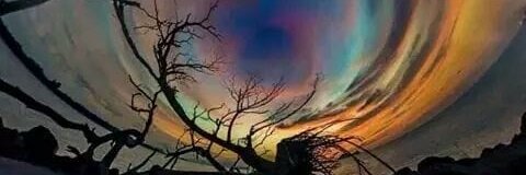 ✨ℂ𝕙𝕒𝕣𝕝𝕠𝕥𝕥𝕖𝕄𝕒𝕣𝕚𝕖 ☮️ banner