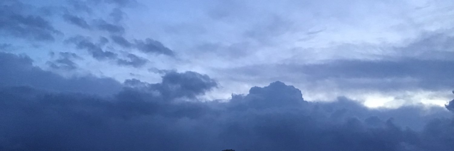 Ladyinthevan1's profile banner image