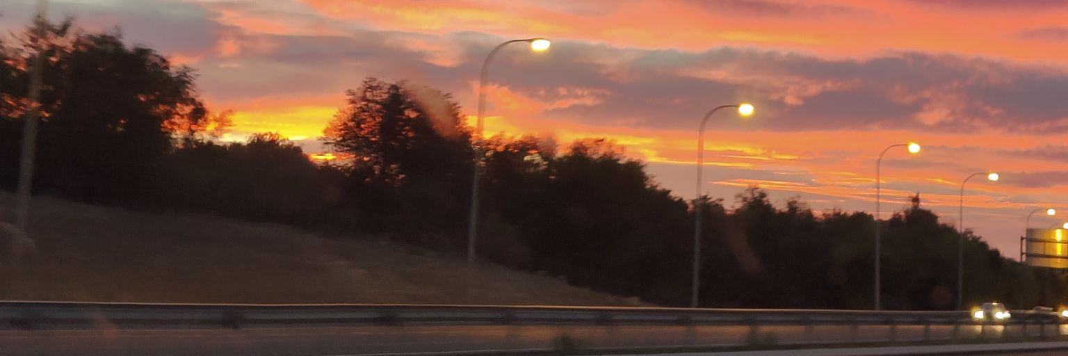 sofii_cule1's profile banner image