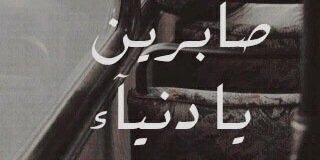 saleh banner