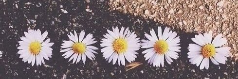 _BeautifulBeBe_'s profile banner image