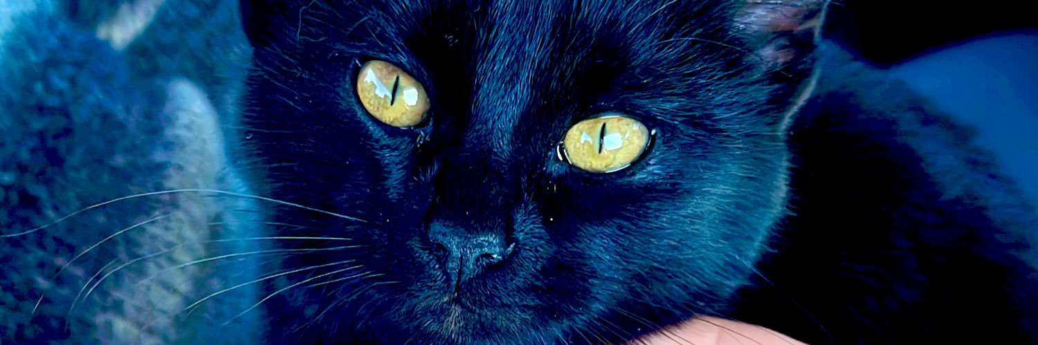 ddavilagz's profile banner image