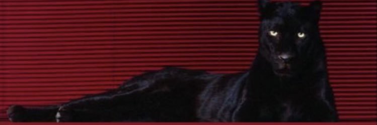 1_uir's profile banner image