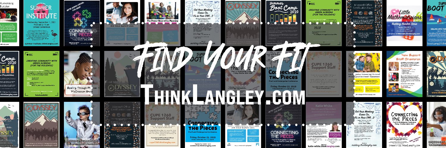 Langley Pro-D banner